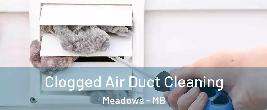  Clogged Air Duct Cleaning Meadows - MB