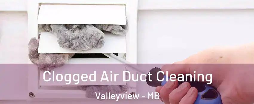  Clogged Air Duct Cleaning Valleyview - MB