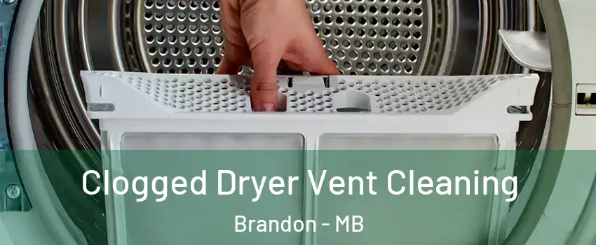  Clogged Dryer Vent Cleaning Brandon - MB