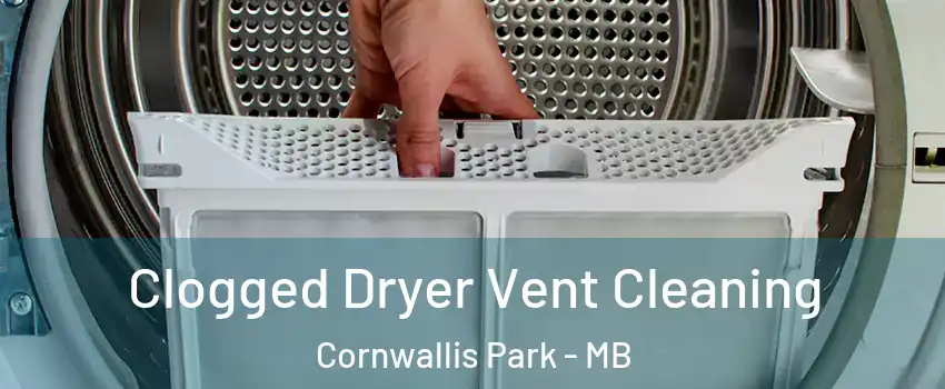  Clogged Dryer Vent Cleaning Cornwallis Park - MB