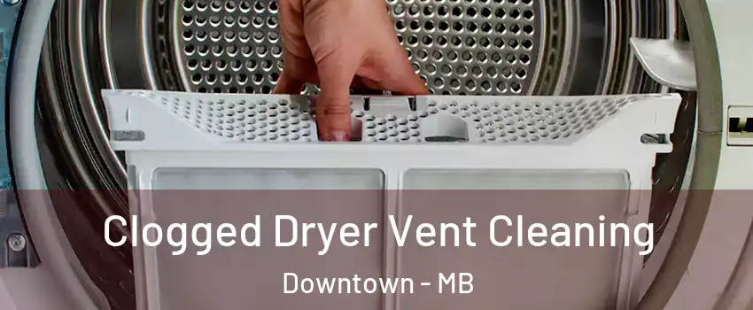  Clogged Dryer Vent Cleaning Downtown - MB