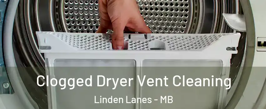  Clogged Dryer Vent Cleaning Linden Lanes - MB