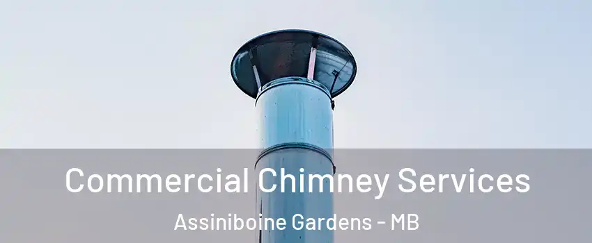  Commercial Chimney Services Assiniboine Gardens - MB