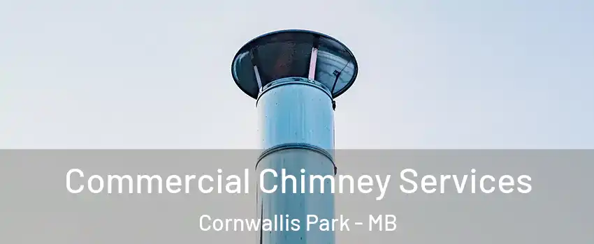  Commercial Chimney Services Cornwallis Park - MB