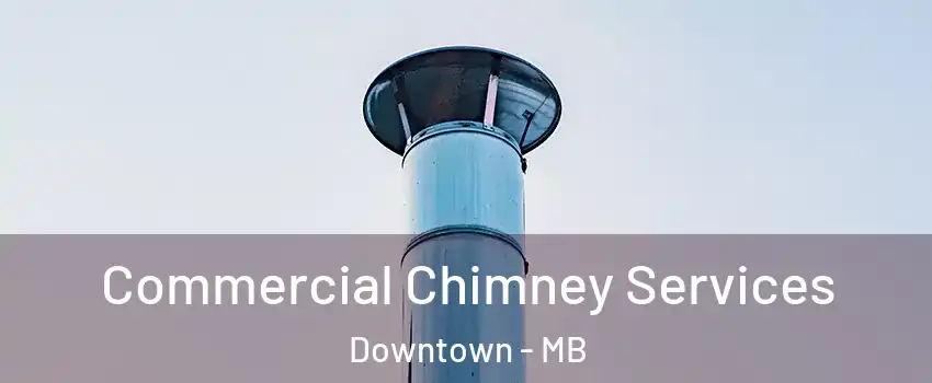  Commercial Chimney Services Downtown - MB