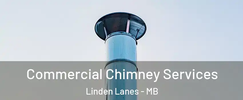  Commercial Chimney Services Linden Lanes - MB