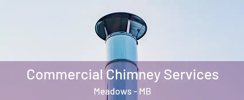  Commercial Chimney Services Meadows - MB