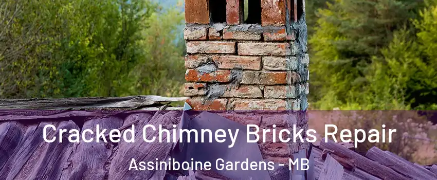  Cracked Chimney Bricks Repair Assiniboine Gardens - MB