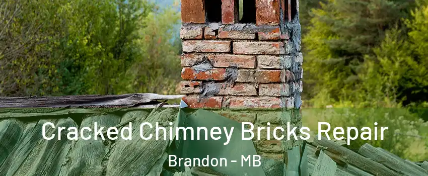  Cracked Chimney Bricks Repair Brandon - MB