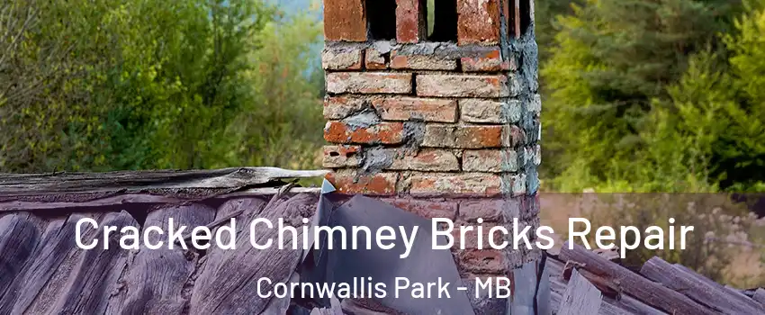  Cracked Chimney Bricks Repair Cornwallis Park - MB
