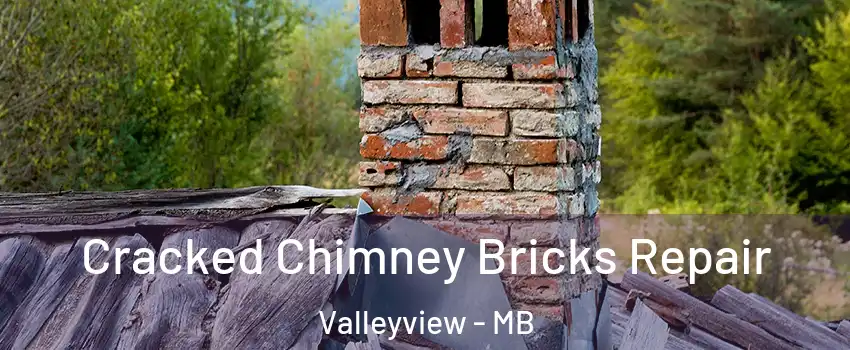  Cracked Chimney Bricks Repair Valleyview - MB