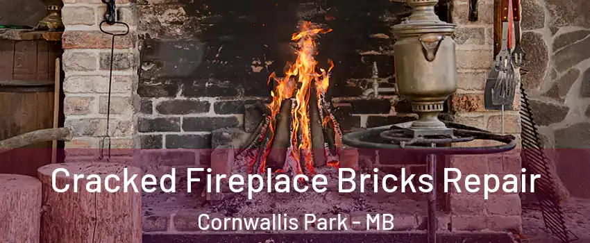  Cracked Fireplace Bricks Repair Cornwallis Park - MB