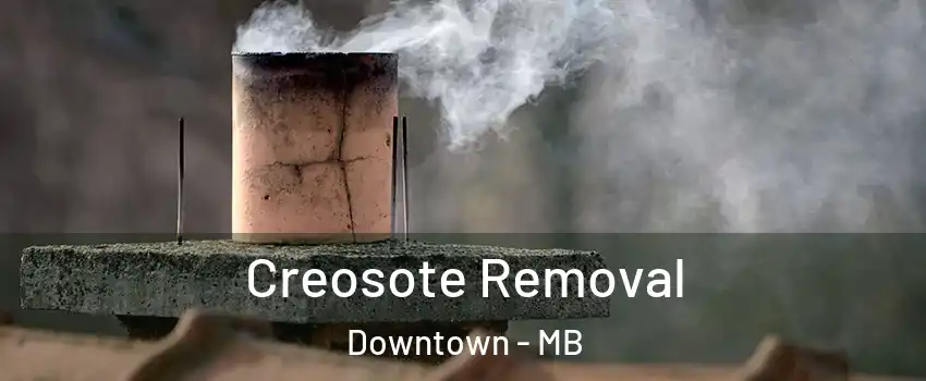  Creosote Removal Downtown - MB