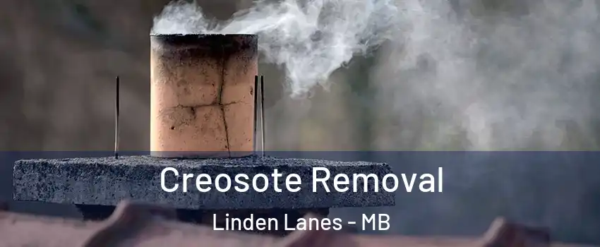  Creosote Removal Linden Lanes - MB