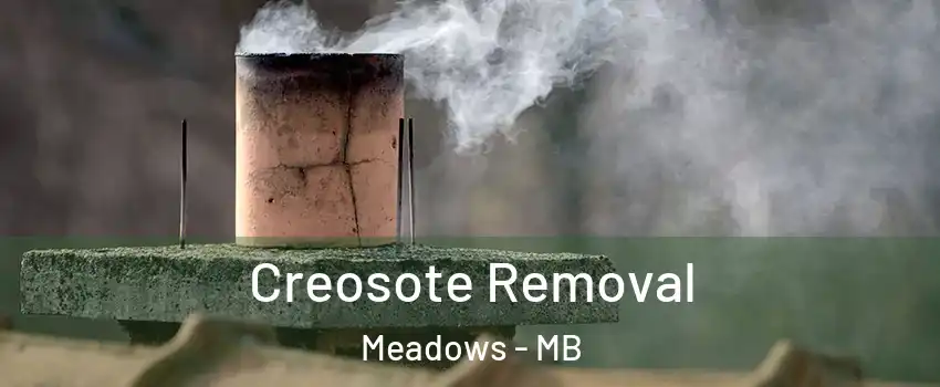  Creosote Removal Meadows - MB