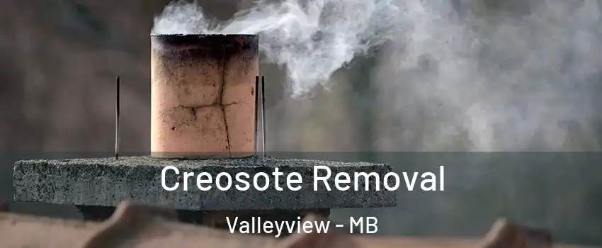  Creosote Removal Valleyview - MB