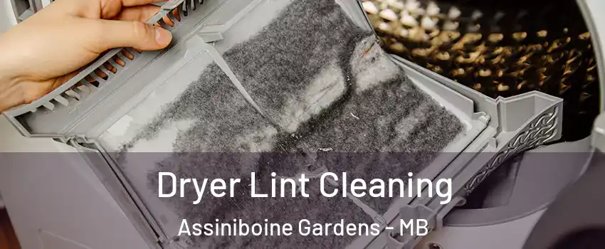  Dryer Lint Cleaning Assiniboine Gardens - MB