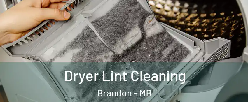  Dryer Lint Cleaning Brandon - MB