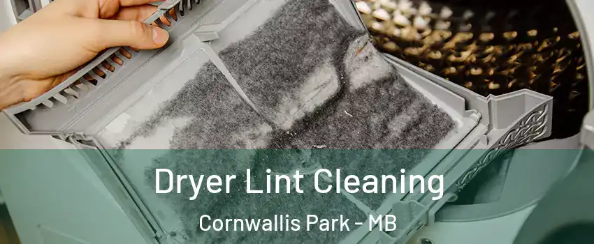  Dryer Lint Cleaning Cornwallis Park - MB