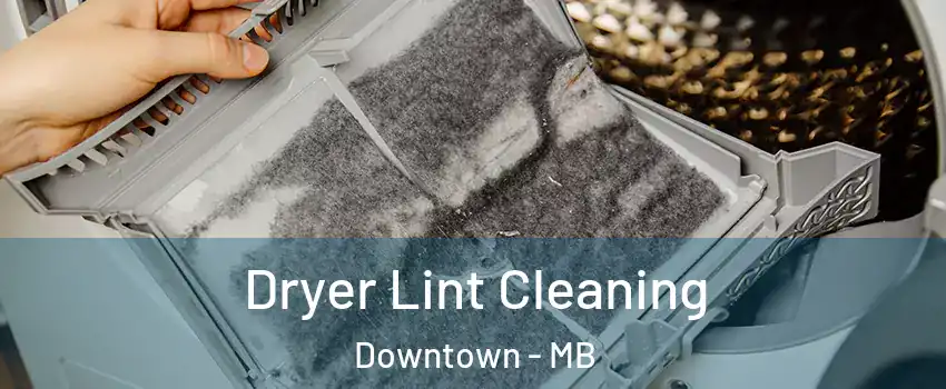 Dryer Lint Cleaning Downtown - MB