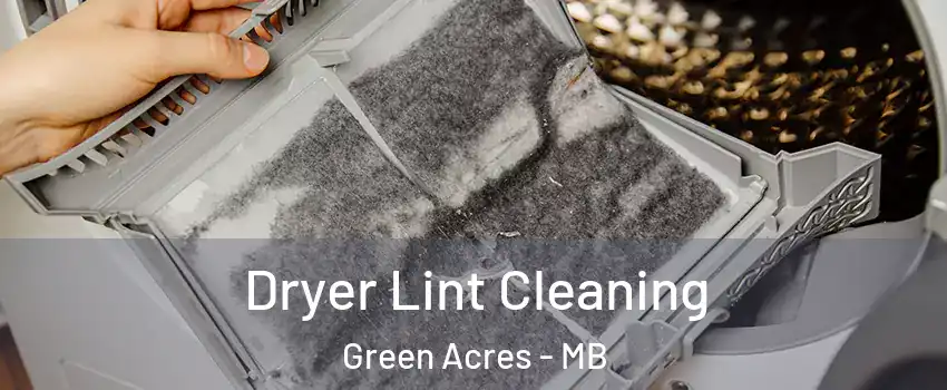  Dryer Lint Cleaning Green Acres - MB