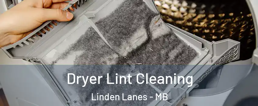  Dryer Lint Cleaning Linden Lanes - MB