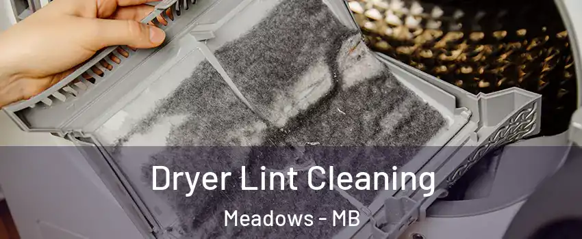  Dryer Lint Cleaning Meadows - MB