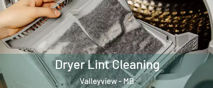  Dryer Lint Cleaning Valleyview - MB