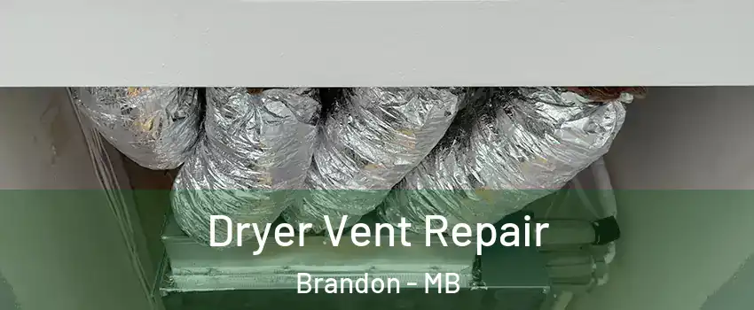  Dryer Vent Repair Brandon - MB