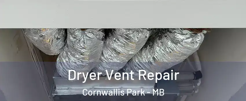  Dryer Vent Repair Cornwallis Park - MB
