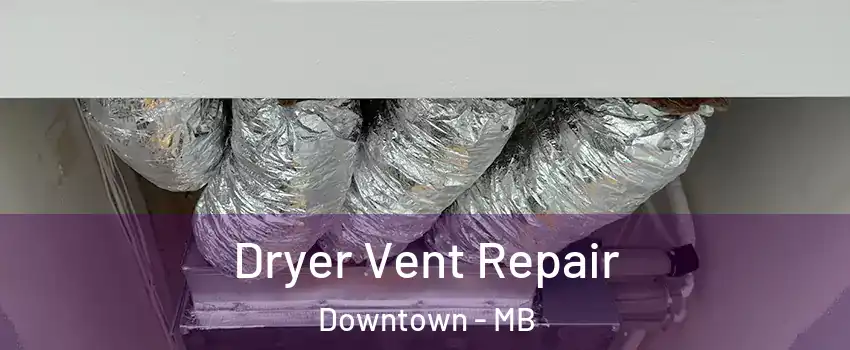  Dryer Vent Repair Downtown - MB