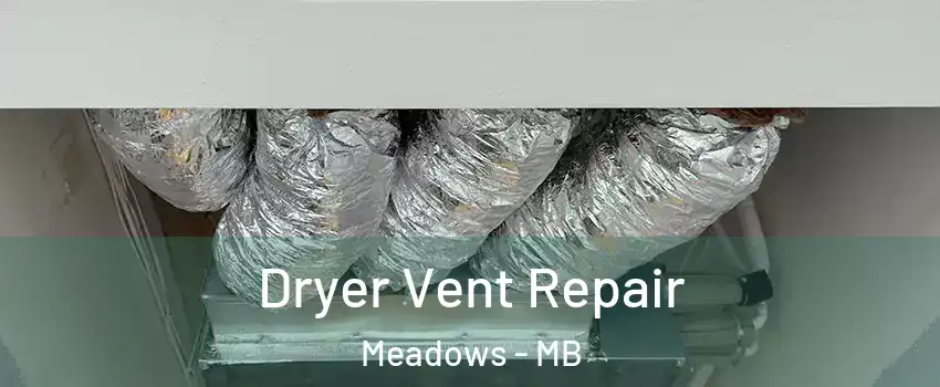  Dryer Vent Repair Meadows - MB