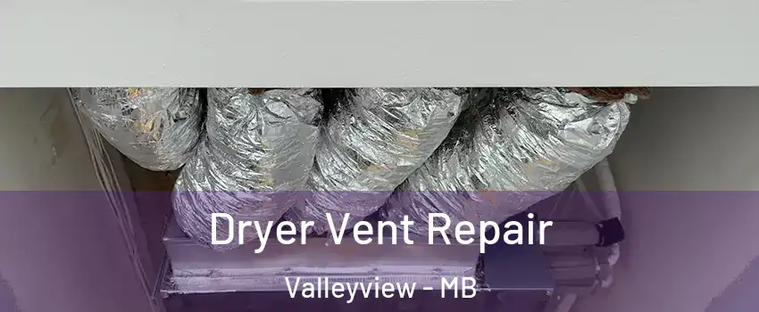  Dryer Vent Repair Valleyview - MB