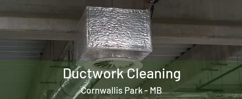 Ductwork Cleaning Cornwallis Park - MB