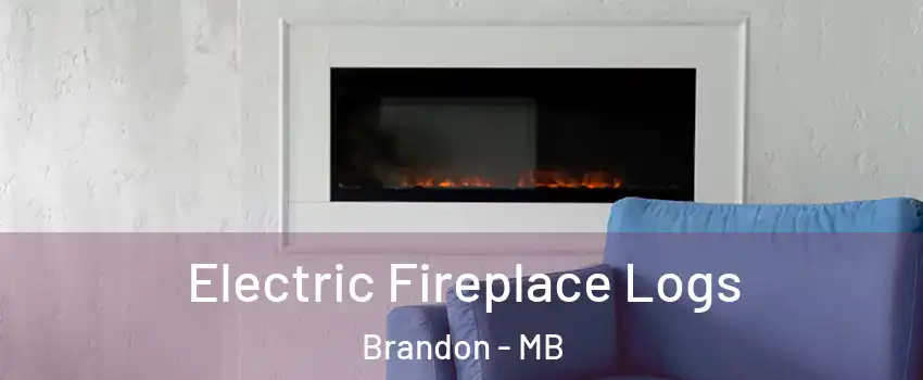  Electric Fireplace Logs Brandon - MB