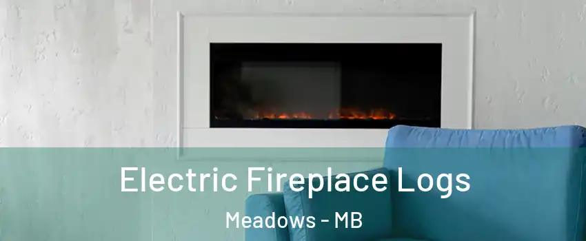  Electric Fireplace Logs Meadows - MB