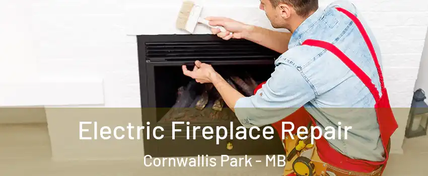  Electric Fireplace Repair Cornwallis Park - MB