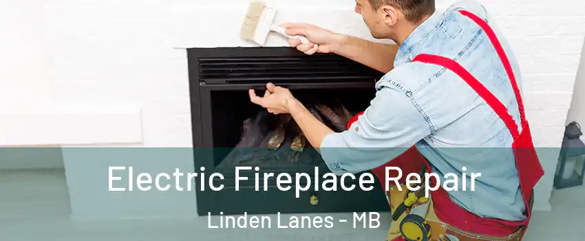  Electric Fireplace Repair Linden Lanes - MB
