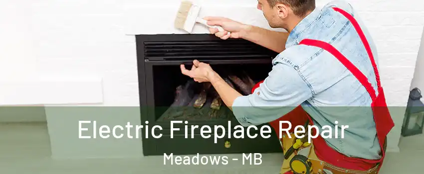 Electric Fireplace Repair Meadows - MB