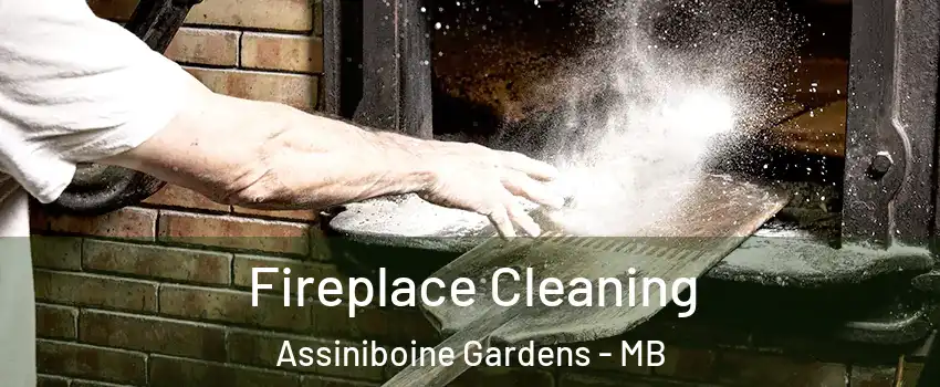  Fireplace Cleaning Assiniboine Gardens - MB