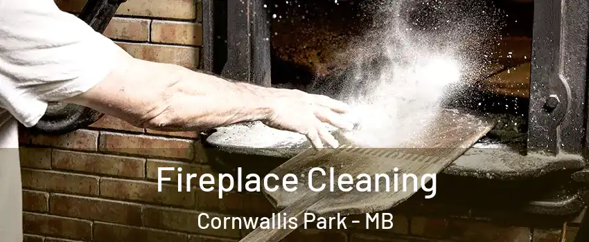  Fireplace Cleaning Cornwallis Park - MB