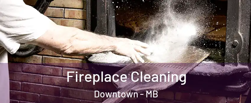  Fireplace Cleaning Downtown - MB