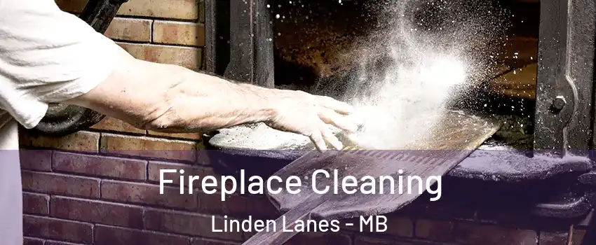  Fireplace Cleaning Linden Lanes - MB
