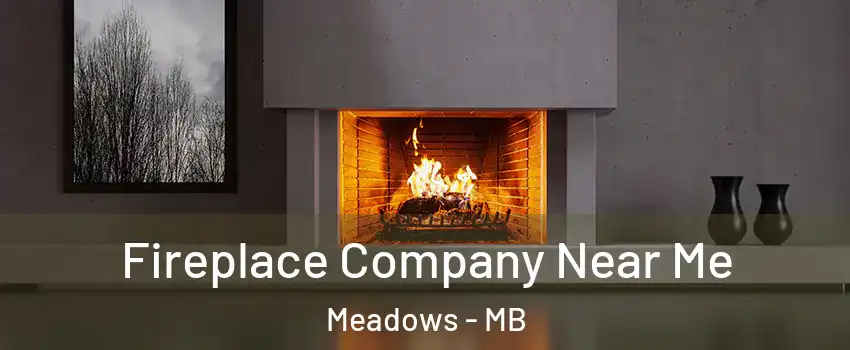  Fireplace Company Near Me Meadows - MB