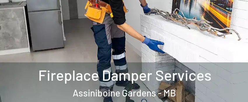  Fireplace Damper Services Assiniboine Gardens - MB