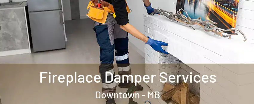  Fireplace Damper Services Downtown - MB