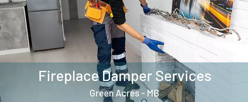  Fireplace Damper Services Green Acres - MB