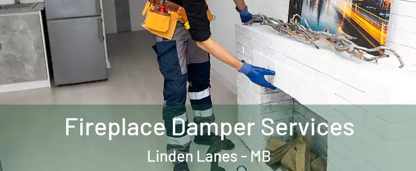  Fireplace Damper Services Linden Lanes - MB