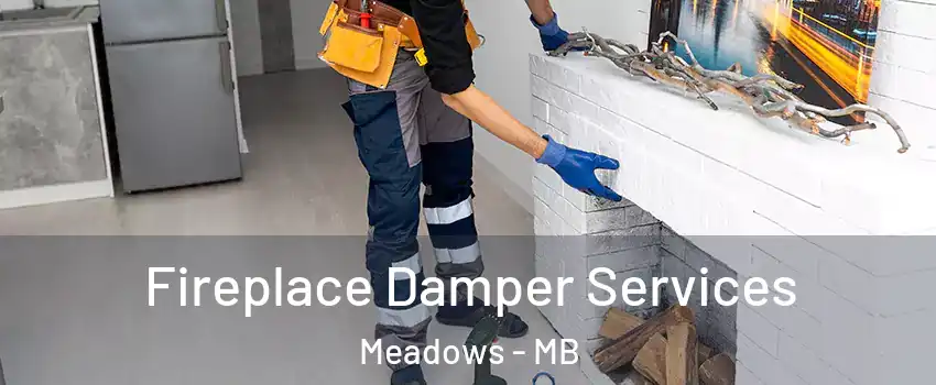  Fireplace Damper Services Meadows - MB