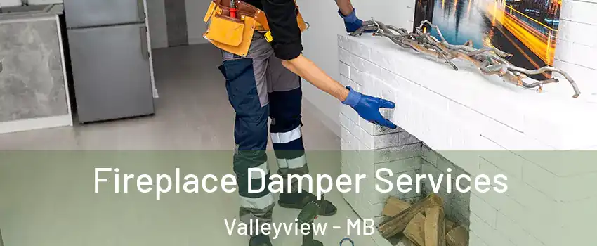  Fireplace Damper Services Valleyview - MB